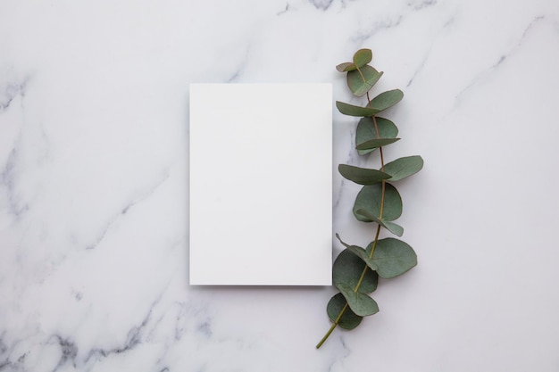 Blank white invitation stationery card with eucalyptus leaves