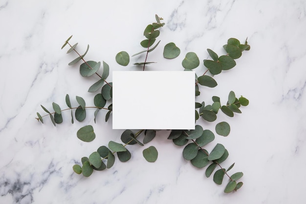 Blank white invitation stationery card with eucalyptus leaves