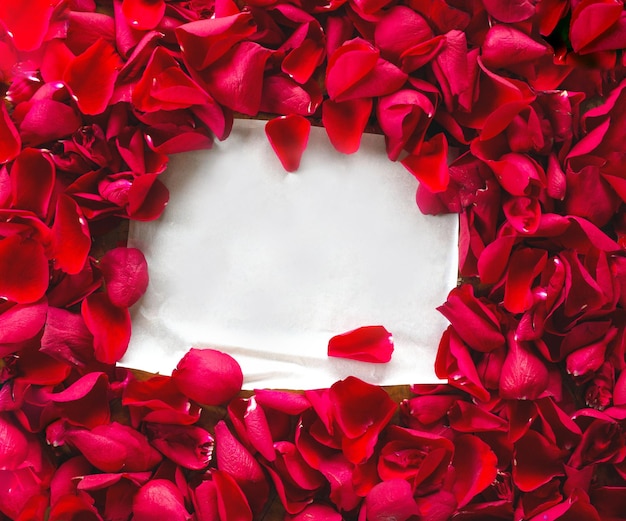 Blank white paper surrounded with red rose petals romantic background space for text