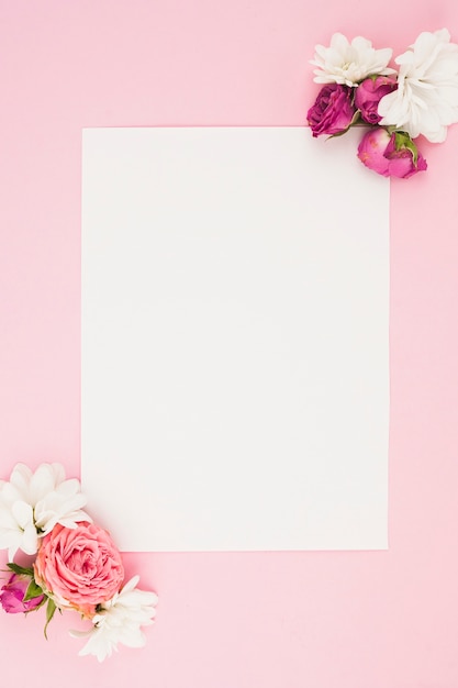 Photo blank white paper with fresh flowers against pink background