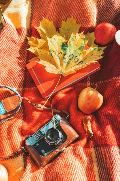 Blanket with book and old retro camera on the ground in autumn public park. copy space