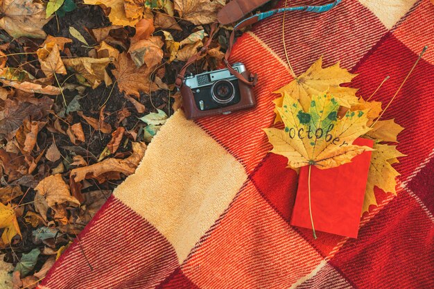 Blanket with book and old retro camera on the ground in autumn public park. copy space