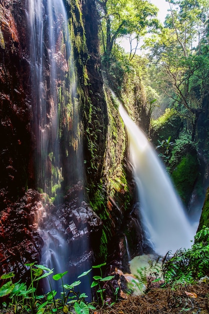 Blawan Waterfall Around Kawa Ijen Crater, Beautiful Waterfall hidden in the tropical jungle