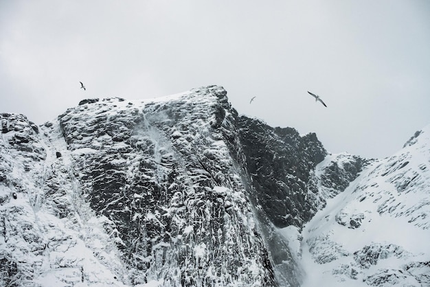 Blizzard blowing snow on top of mountain range with birds flying