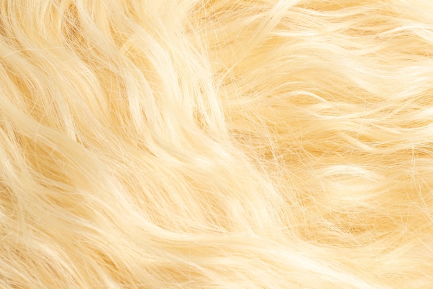 Blond  beautiful wavy hair pattern. Top view.