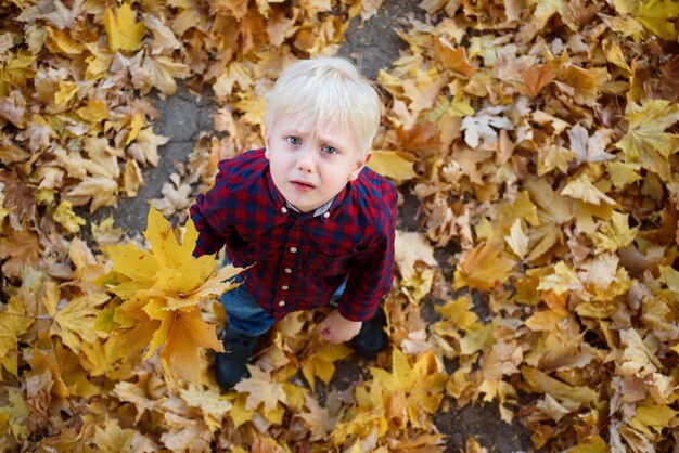 Blond boy with a bouquet of autumn leaves stands and looks up.