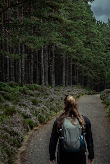 Blonde girl on a path lined with pine and purple heather in the Cairngorms National Park in Scotland