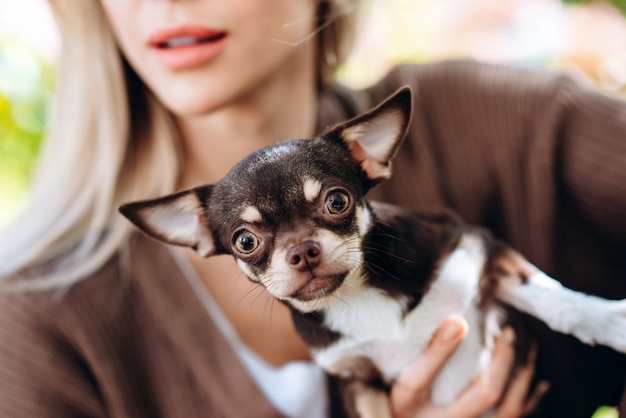 Blonde woman holding in her hands her pet