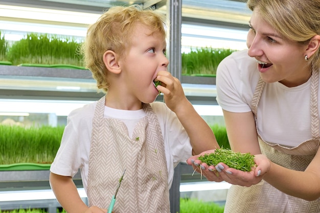 Blonde woman smiles and treats a pretty little boy with juicy delicious greens against the background of the microgreenery farm shelves Concept of delicious and healthy food