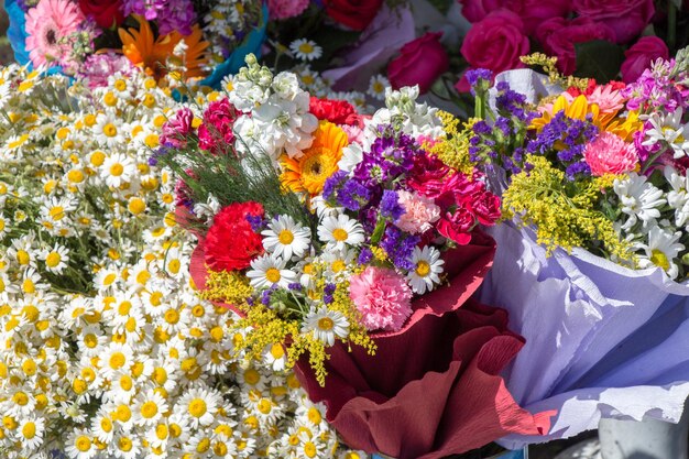 Blooming beautiful colorful natural flowers in view