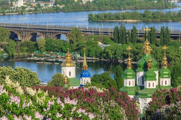 Blooming lilac in the Botanical Garden Kiev Ukraine