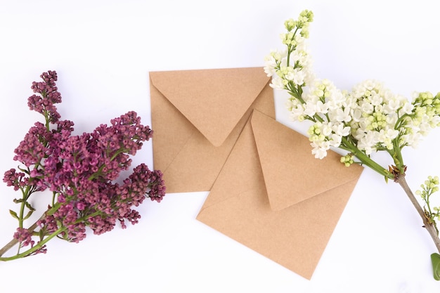 Blooming lilacs and envelopes on a white background