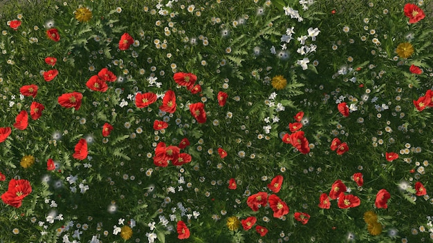 Blooming poppy fields of flowers at sunset Red poppy flowers in the green grass in summer 3d render