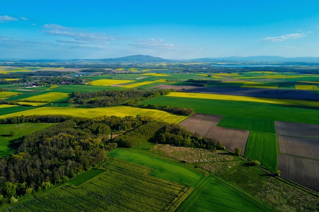 Blooming rapeseed fields in countryside aerial view