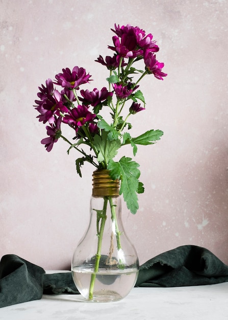 Blooming spring flowers in vase