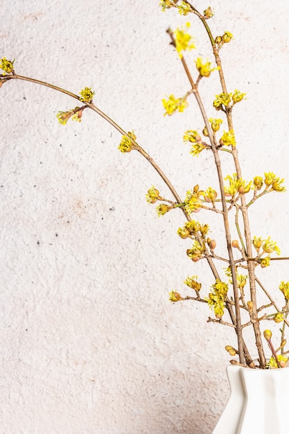 Blooming twigs of dogwood in a white ceramic vase on a stone.