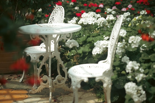 Blooming white geranium flower plant in botany garden park