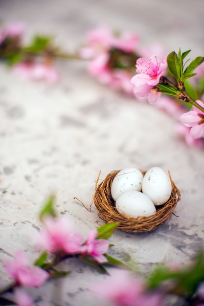 blooms pink and the eggs in the nest and copy space.