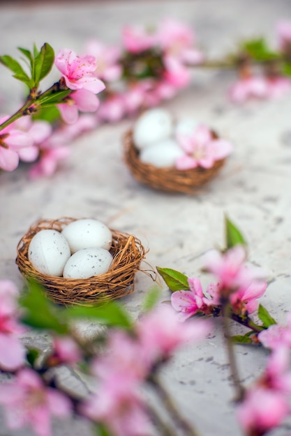 blooms pink and the eggs in the nest and copy space.