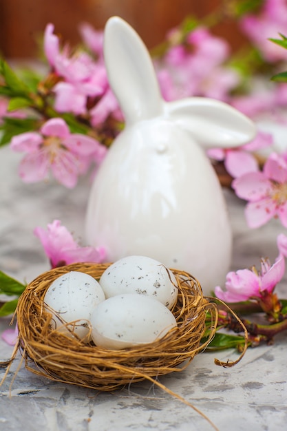 blooms pink and the eggs in the nest and copy space.