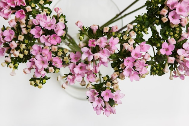 Blossom background of lilac bunch of flowers in glass vase on white backdrop, top view. Spring holidays, Mother's and Women's day gift and decoration concept