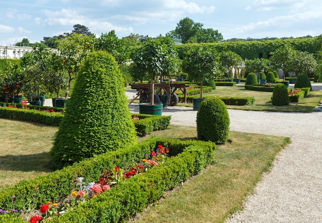 Blossoming flowerbed and bush in summer city park