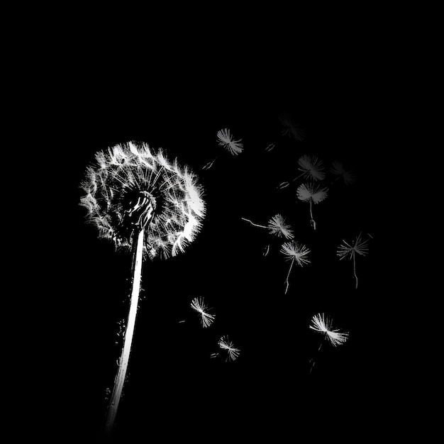 Photo blowing dandelion seeds overlay