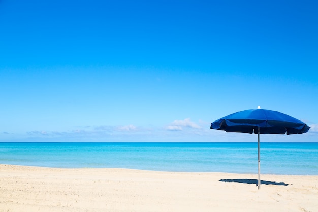 Blue beach umbrella parasol on the tropical beach