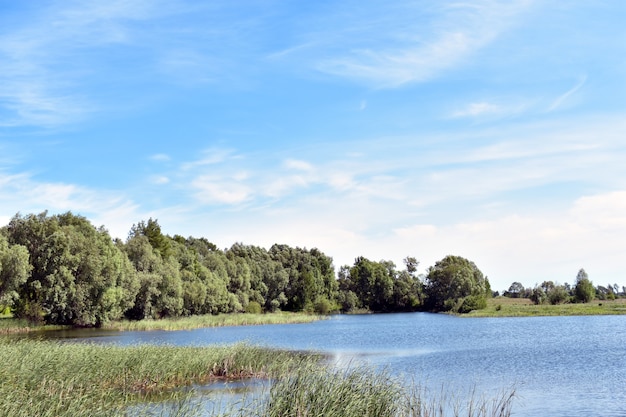 blue big forest lake and blue sky