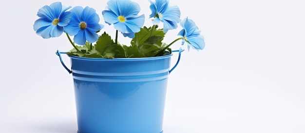 Blue bucket with a decorative flower on a white background symbolizing a happy weekend