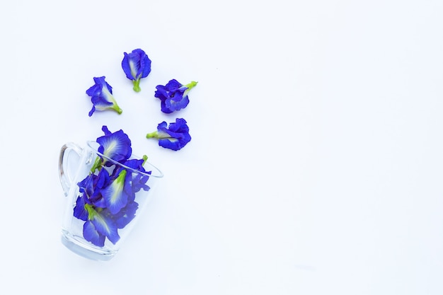 Blue butterfly pea flower in a glass