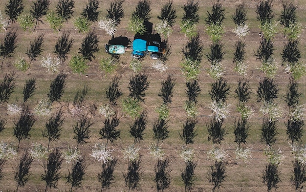 A blue car is parked in a field with a blue vehicle in the foreground.