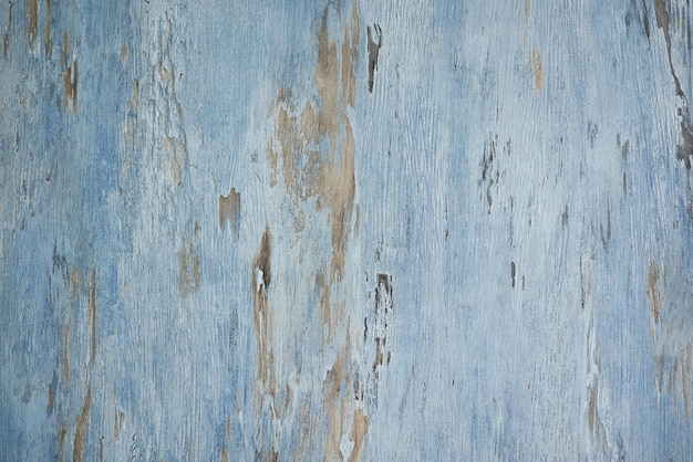 Blue color natural and detailed wood background