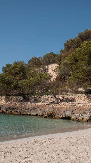 Blue and crystal clear waters of the Mediterranean Sea next to the pine trees on the island of Mallorca