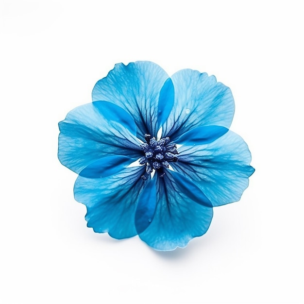 Blue Flower Elevation Isolated on Clear