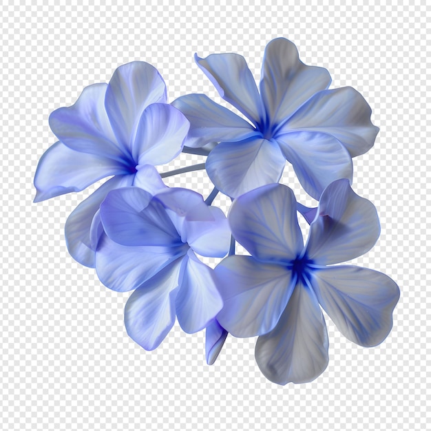 Photo a blue flower is shown with the blue and white flowers