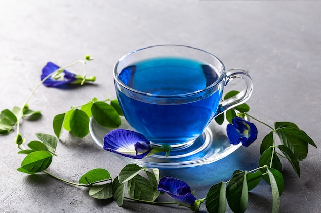 Blue flower tea of Butterfly pea on grey