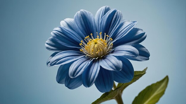 Blue Flower on White Background AI Generated