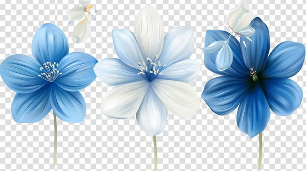 Photo blue flowers on a transparent background set with different beautiful blue and white flowers