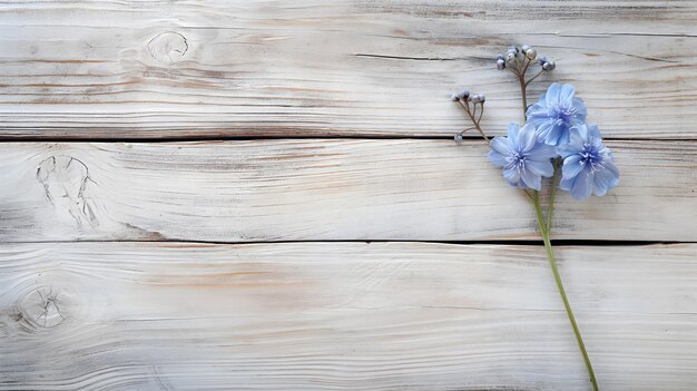 Photo blue flowers on wooden texture floral background with copy space