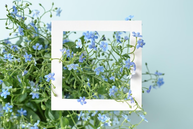 Blue forgetmenot flowers and white frame spring and summer background