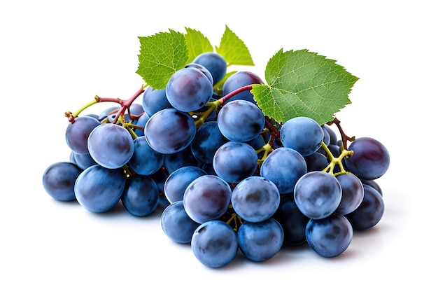 Blue grapes dry bunch isolated on white background generative ai