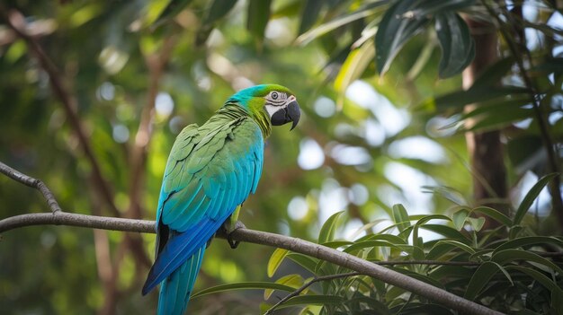 Photo a blue and green parrot is sitting on a branch