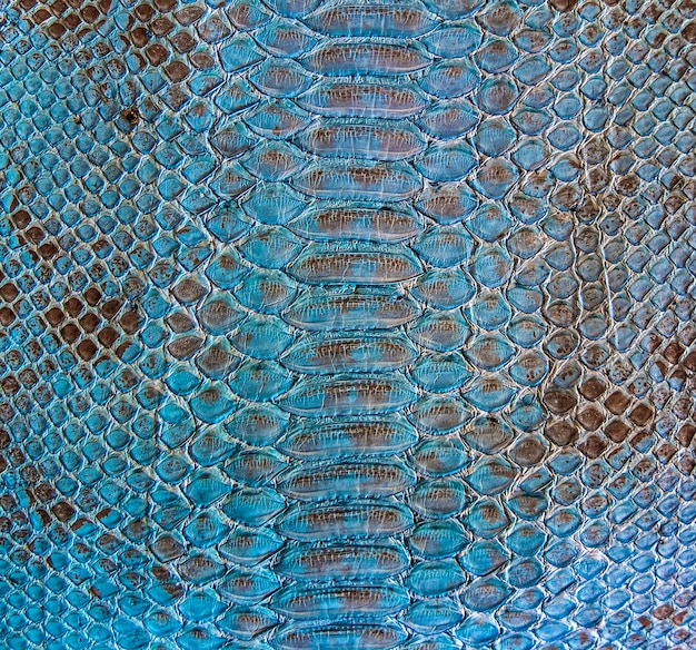 Blue grey snake skin texture design