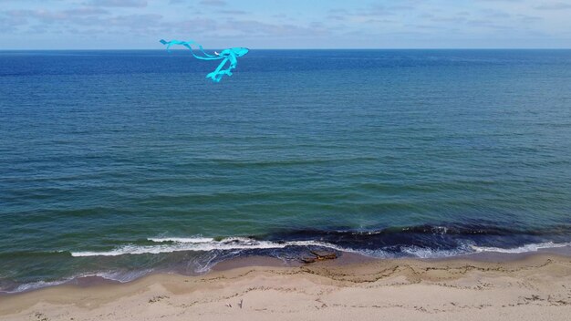 Blue kite flies on the background of the sea