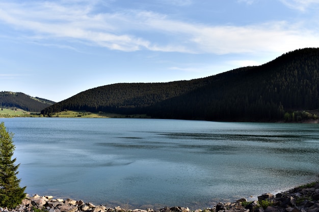 Blue Lake in the Forest