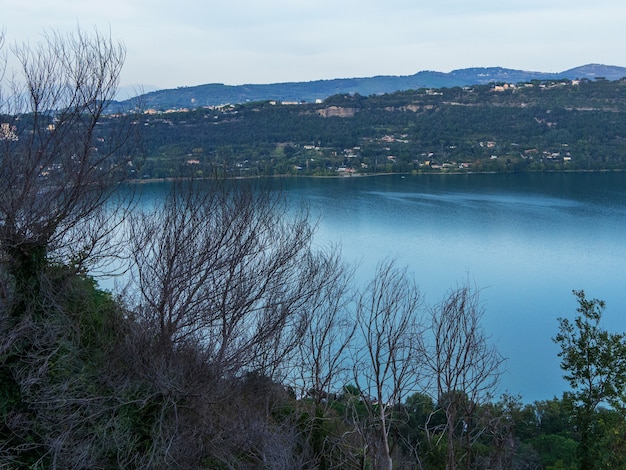 A blue lake surrounded by green bushes, trees without leaves in the foreground, a landscape in dark blue tones