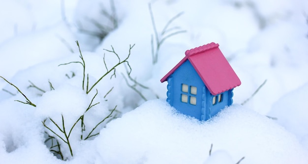 A blue model of a wooden house