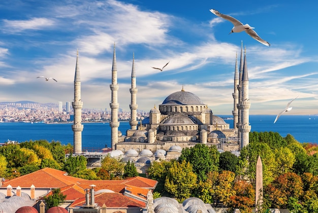 The Blue Mosque of Istanbul Sultan Ahmet Mosque beautiful view