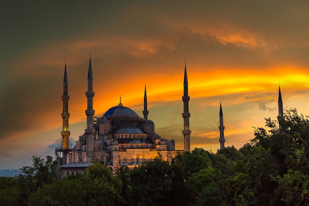 Blue mosque in Istanbul